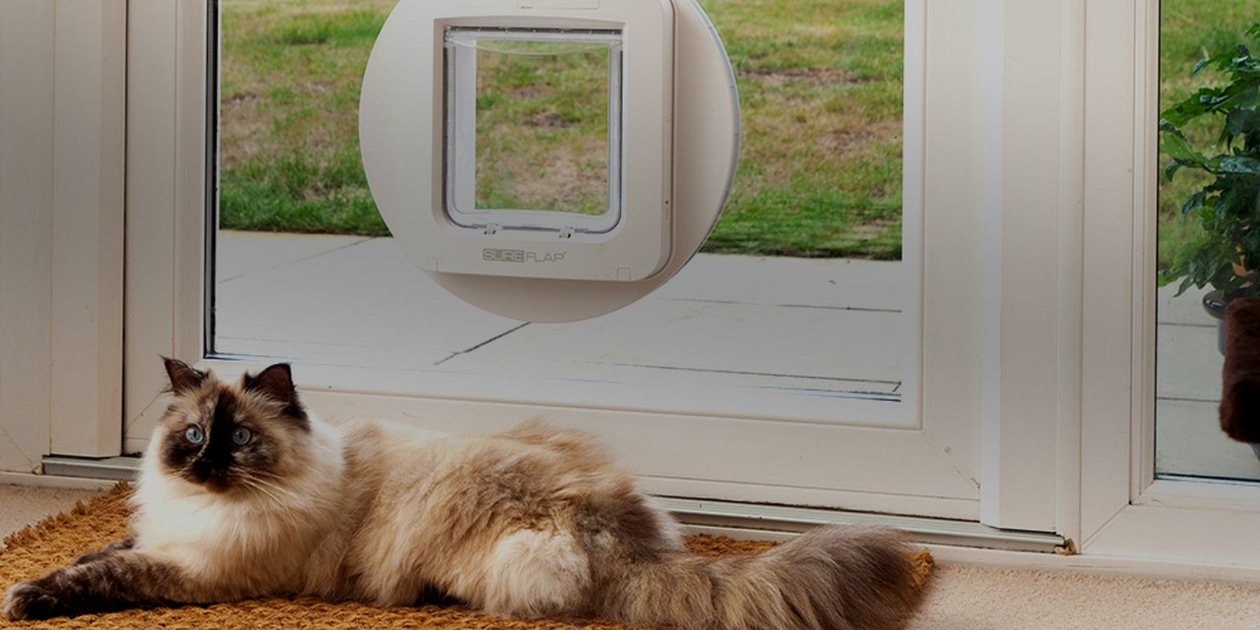 Pet Doors