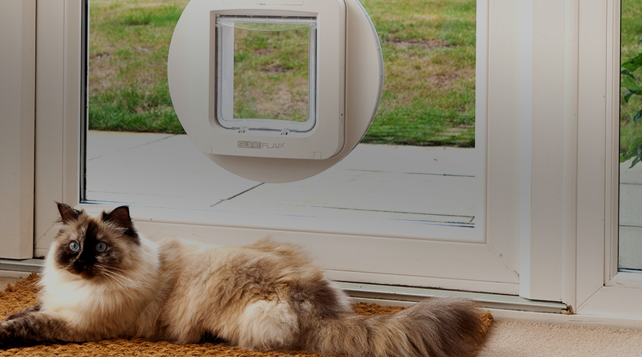 Pet Doors